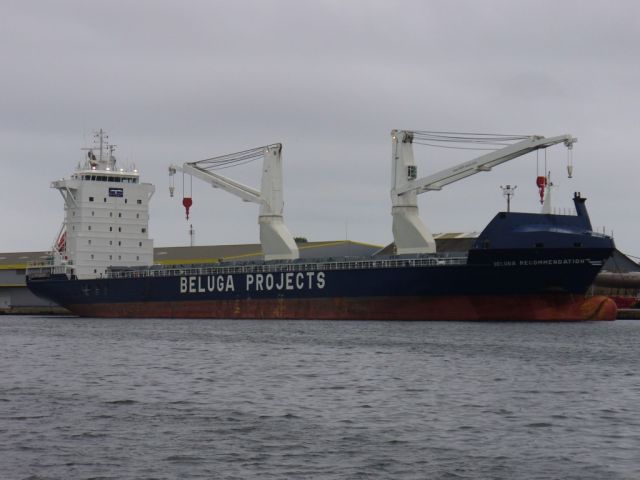 Beluga recommendation 2.jpg